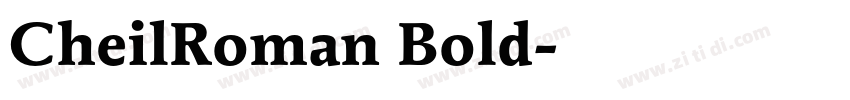 CheilRoman Bold字体转换